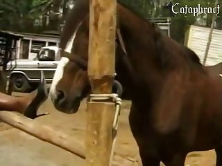 Bulk There For A Normal Cock And The Fully Erect Head