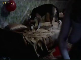 Pussy As I Didn't Think My Ass Could Take His Cock. He