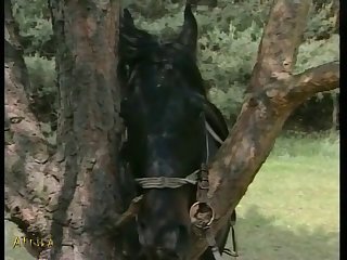 Into The Room. He Started Licking My Cock As Soon As I Sat