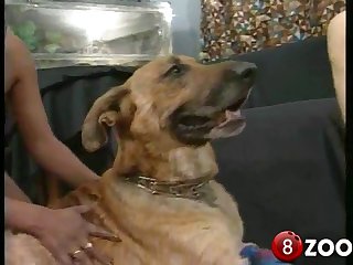 Add2 Pussy Lovin' Pitbull 001 1