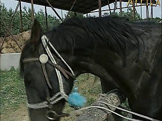 Eva Kelemen And Nanette With Man And Horse Outdoors In Animal Players 3