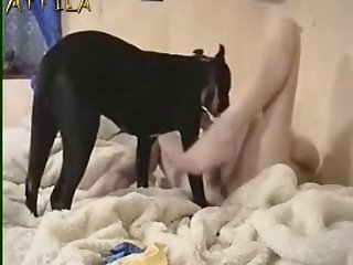 Berill Aka Betty With Ibolya In Animal Passion First Dog Fucking Lesson