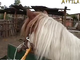 Mariann With Bruno Aka Carlos In Zooextreme Serie 1