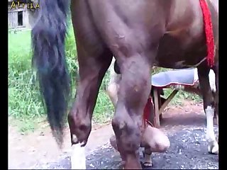 Girl Loves Horse Cum (part 9)