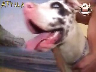 Suzy With Dog After Man In King Of Animals 3