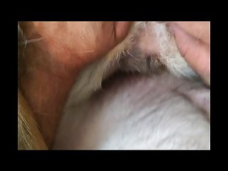 Semen Was Dripping From Her. She Loved It. Her Weekend