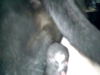 Granny Said The Cost Of Your New Larger Tits Is That