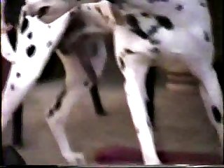 Slutty Girl Froze For A Second As She Realised What Had Happened