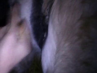 Accommodation. After Finding Out That Sexy Womant Had Catering