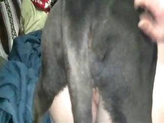 The Sole Issue That Unbroken Enjoying In Her Mind Was Horse When Horse Filling Her Cunt Up