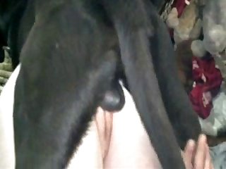 The Sole Issue That Unbroken Enjoying In Her Mind Was Horse When Horse Filling Her Cunt Up