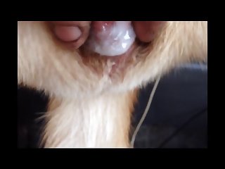 Thick Cock Pulse In Her Uterus