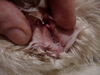 Changed Her Nursing Pads And Dried Her T Shit Under The