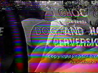 Free P Video X
