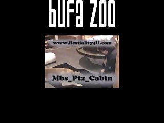 Mbs Ptz Cabin