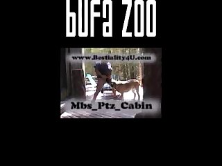 Mbs Ptz Cabin