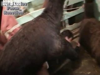 Mbs Farmreaction