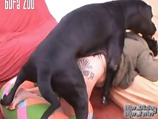 Mbs Dildog