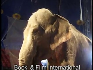 Sexy Girl And Elephant
