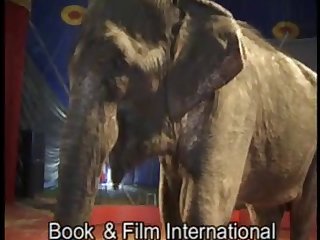 Sexy Girl And Elephant