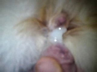 Pussyplay2 White Mix