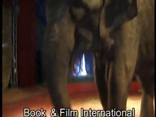 Sexy Girl And Elephant