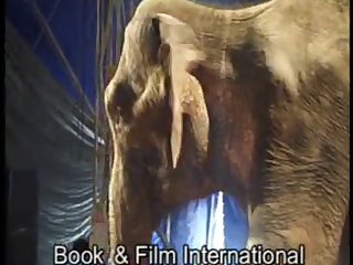 Sexy Girl And Elephant