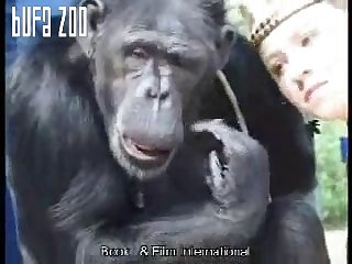 Blonde And Chimpanzee leporo xnxn monkey sex