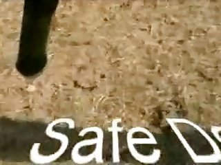 Sds Testvideo2006 Zetatracker