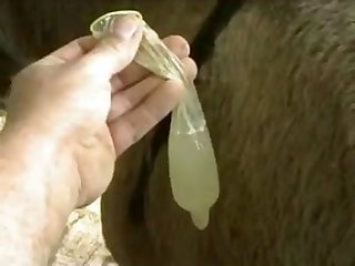 Sds Testvideo2006 Zetatracker