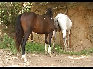 Vt07022016d Shadow Vs Lua Sc 04