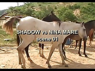Vt21022016a Shadow Vs Nina Mare Sc 01