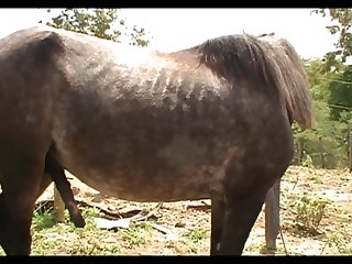Madonna Vs Stallion Scene 02