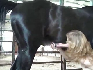 Nadya And Katya Have Active Sex With Stallion 2