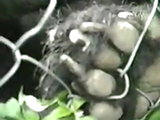 Loving Dakotas Cock Chunk 20