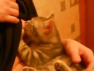 53865 My Girlfriend Breastfeeding Cat