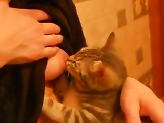 53865 My Girlfriend Breastfeeding Cat