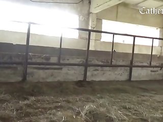 Dog's Cock Had Found Its Target And Drove Into My