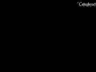Clips 4