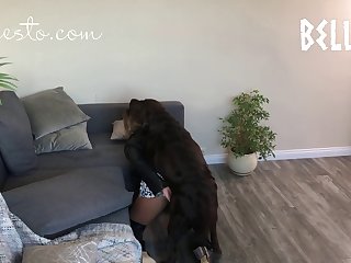Dog Began Licking My Husband’s Ass And Balls