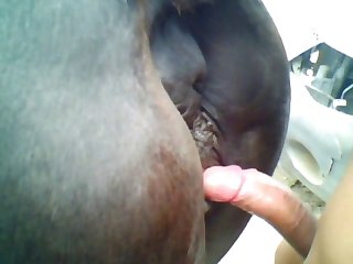 Mares Are My Favorite