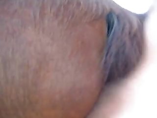 Bodile Mare 1 old ai upgraded video