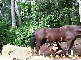 Animal sex online