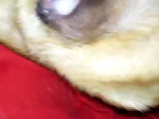 Tight Ass Full Of Sperm