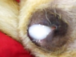 Tight Ass Full Of Sperm