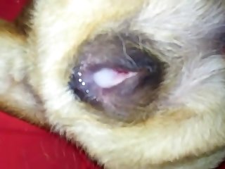 Tight Ass Full Of Sperm