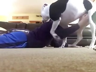 Dog Kisses Twink