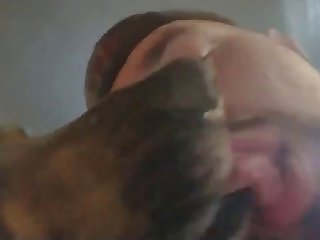 Dog Make Out German Shepherd Kiss