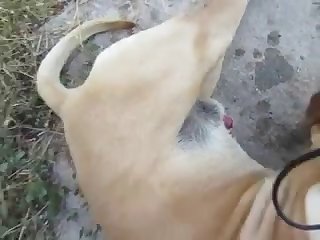 Jcumb.avi