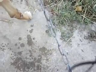 Jcumb.avi